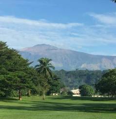 Buea